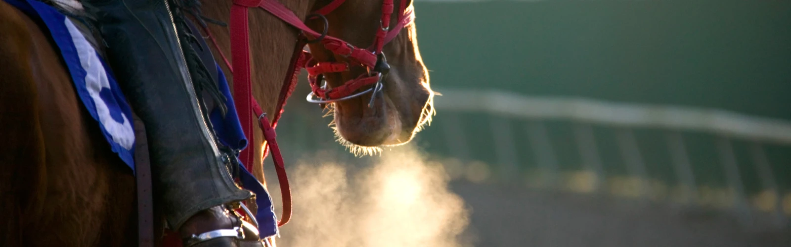 Mahalaxmi Racecourse: The Thrill of Horse Racing in Mumbai