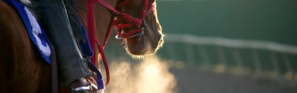 Mahalaxmi Racecourse: The Thrill of Horse Racing in Mumbai