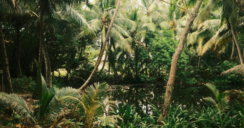 Mahalaxmi Racecourse: The Thrill of Horse Racing in Mumbai