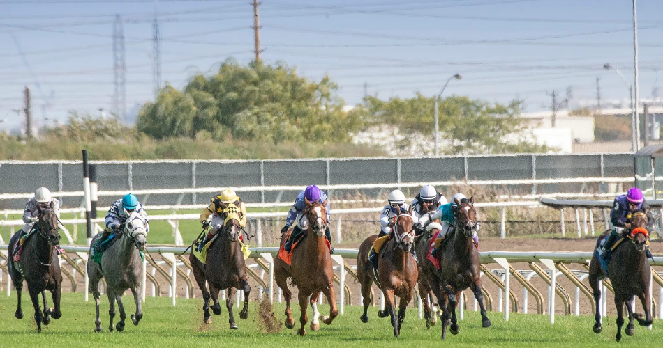 Mahalaxmi Racecourse: The Thrill of Horse Racing in Mumbai
