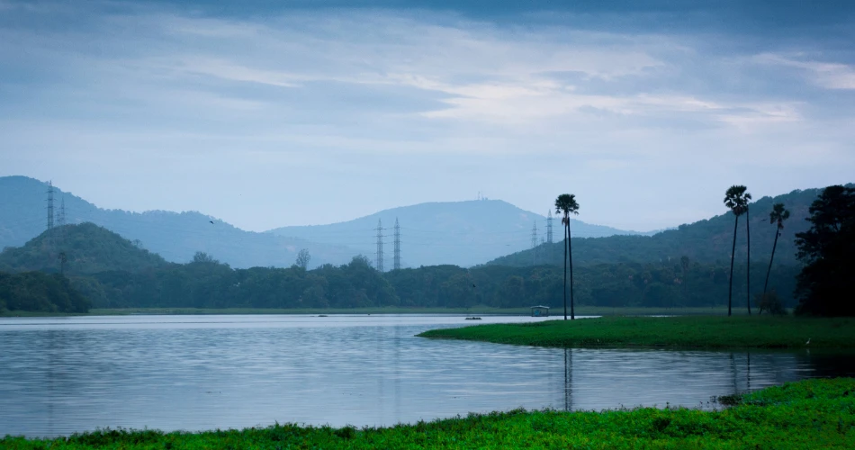 Powai Lake: A Peaceful Retreat in the Heart of Mumbai