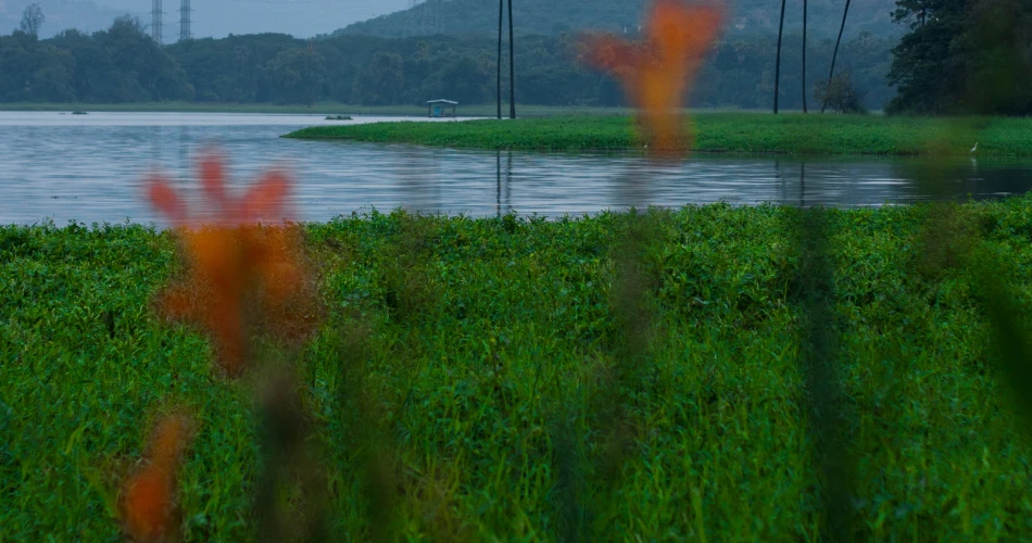 Powai Lake: A Peaceful Retreat in the Heart of Mumbai