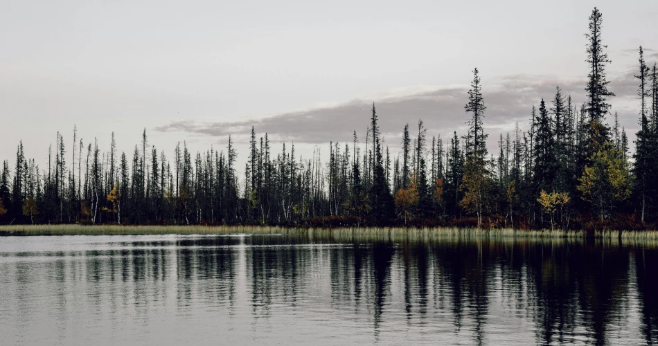 Powai Lake: A Peaceful Retreat in the Heart of Mumbai