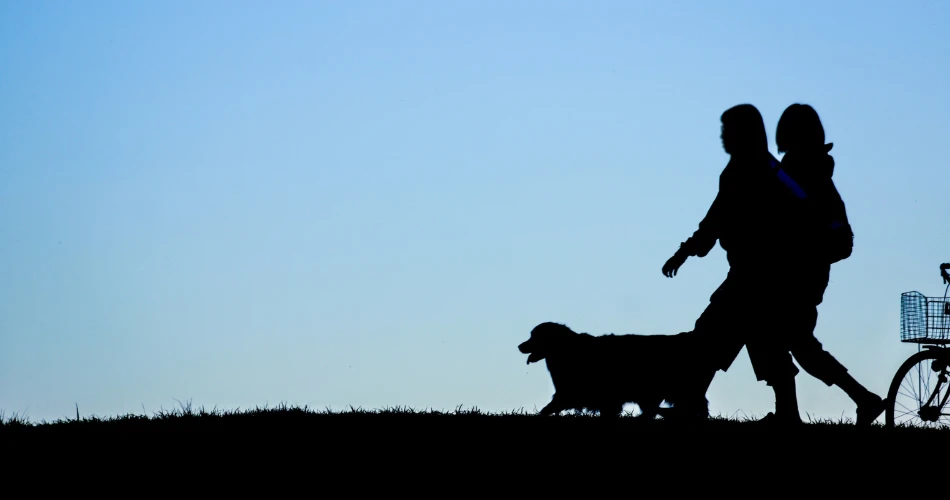 Powai Lake: A Peaceful Retreat in the Heart of Mumbai